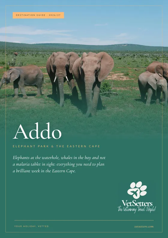 Addo Destination Guide cover