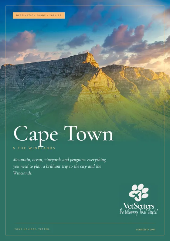 Cape Town & the Winelands Destination Guide cover