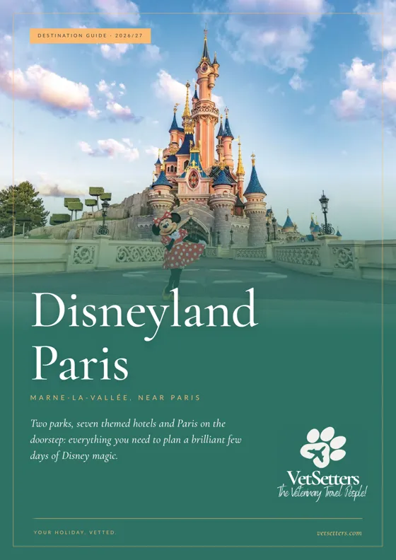 Disneyland Paris Destination Guide cover