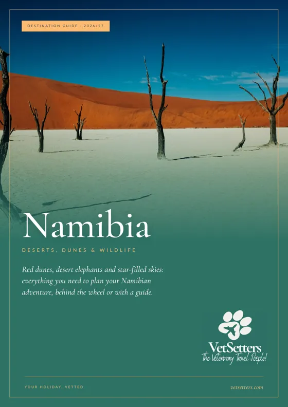 Namibia Destination Guide cover