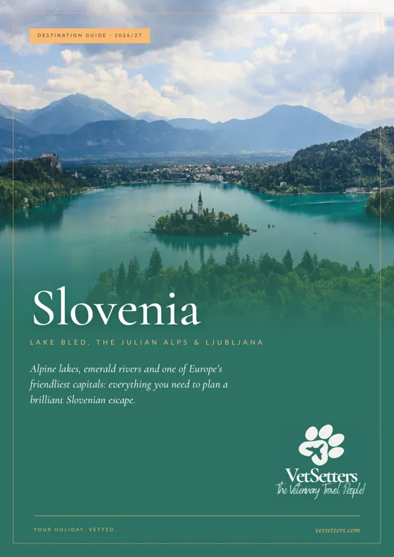 Slovenia Destination Guide cover